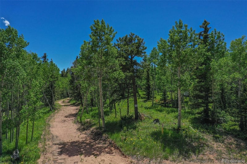 228 Worley Rd, Divide, CO 80814