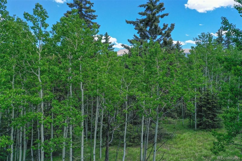 228 Worley Rd, Divide, CO 80814