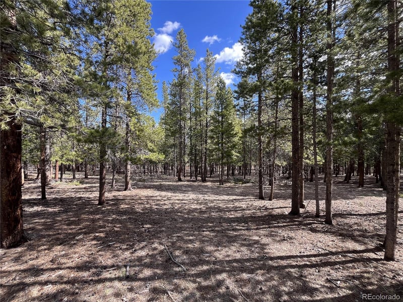 30336 National Forest Dr Lot 21, Buena Vista, CO 81211