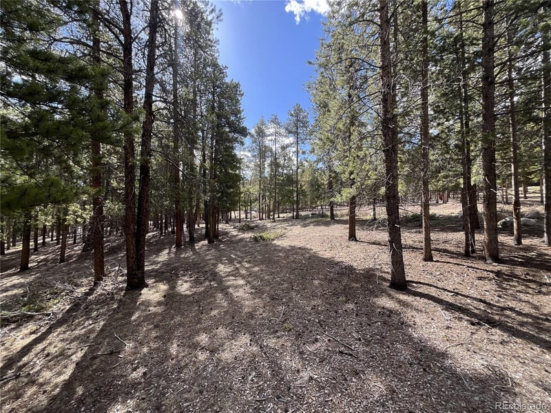 30336 National Forest Dr Lot 21, Buena Vista, CO 81211