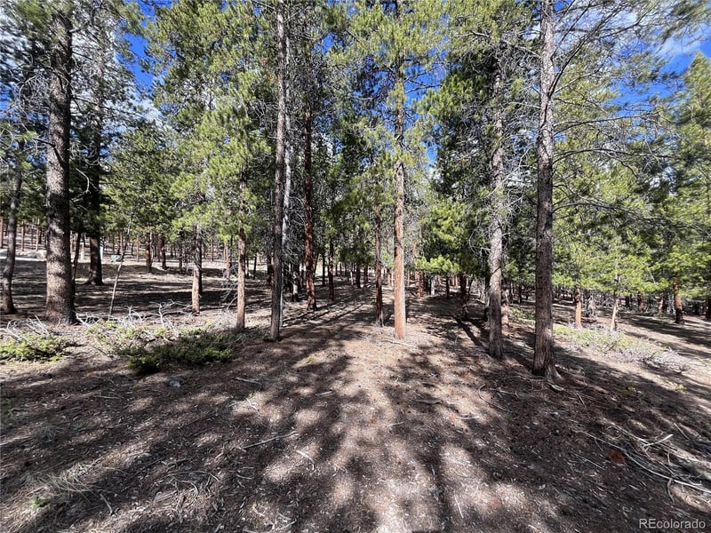 30336 National Forest Dr Lot 21, Buena Vista, CO 81211