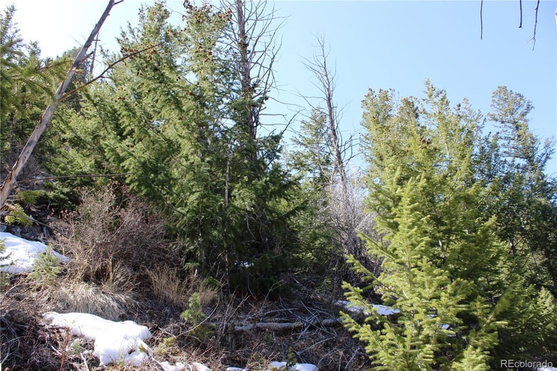 5404 Silver Creek Trl Lot 5404, Georgetown, CO 80444