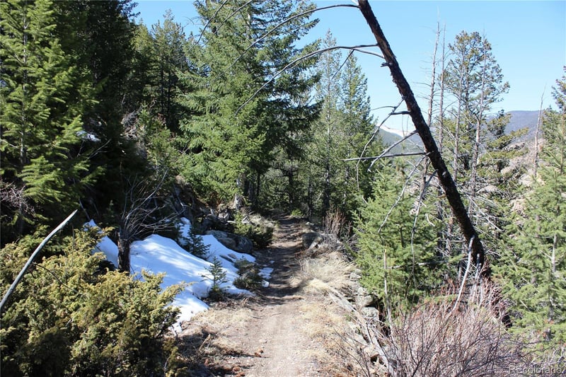 5404 Silver Creek Trl Lot 5404, Georgetown, CO 80444