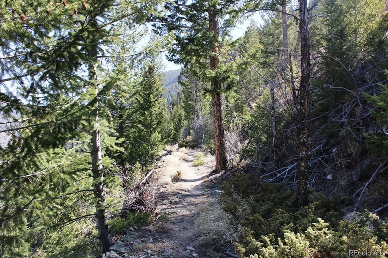 5404 Silver Creek Trl Lot 5404, Georgetown, CO 80444