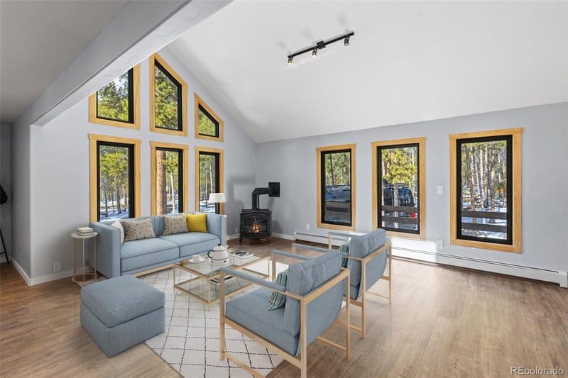 191 Tabor Dr, Leadville, CO 80461