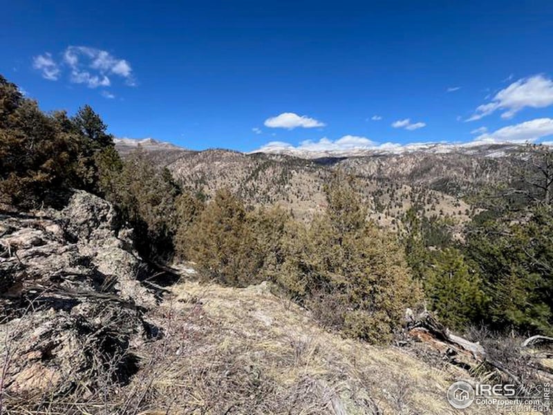 469 Miller Fork Rd, Glen Haven, CO 80532