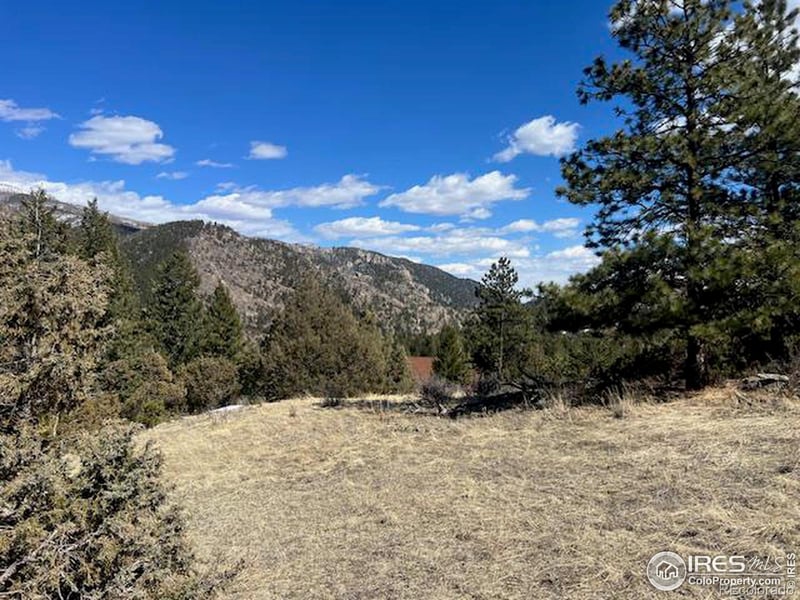 469 Miller Fork Rd, Glen Haven, CO 80532