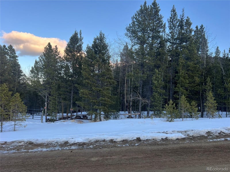 003 Virginia Canyon Rd, Central City, CO 80427