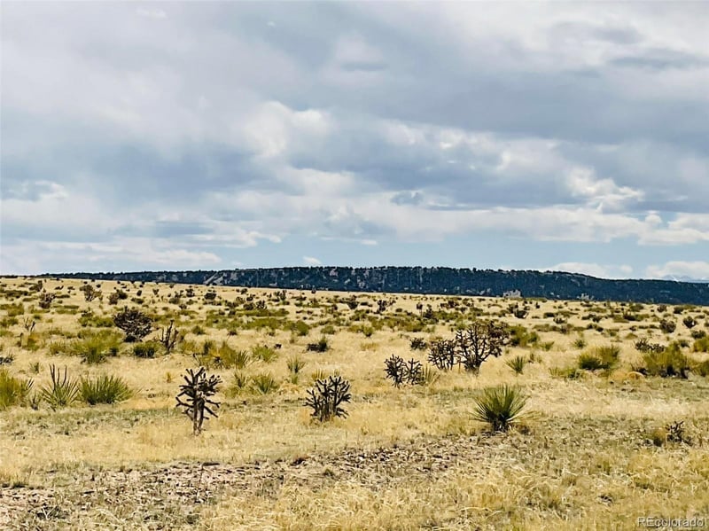Lot 239 Turkey Ridge Ranch, Walsenburg, CO 81089