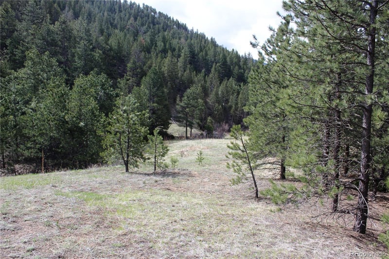 235 County Road 87 Lot 11280, Jamestown, CO 80455