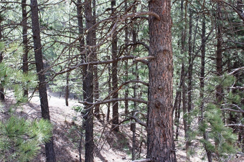 235 County Road 87 Lot 11280, Jamestown, CO 80455