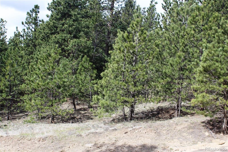 235 County Road 87 Lot 11280, Jamestown, CO 80455