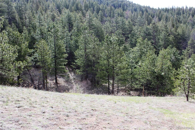 235 County Road 87 Lot 11280, Jamestown, CO 80455