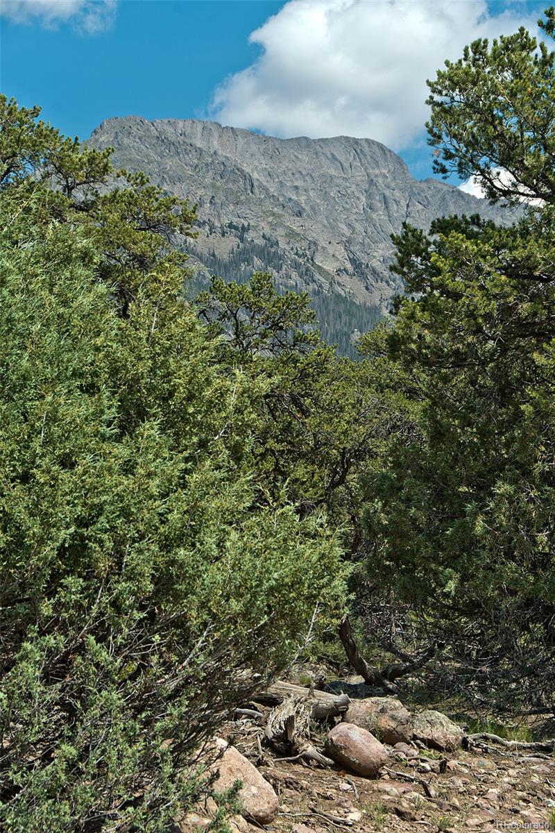 532 Hillcrest Ol, Crestone, CO 81131