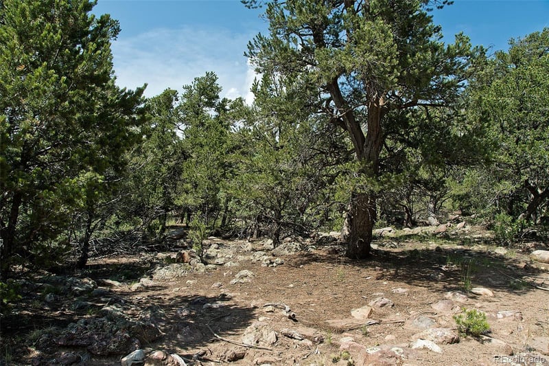 532 Hillcrest Ol, Crestone, CO 81131