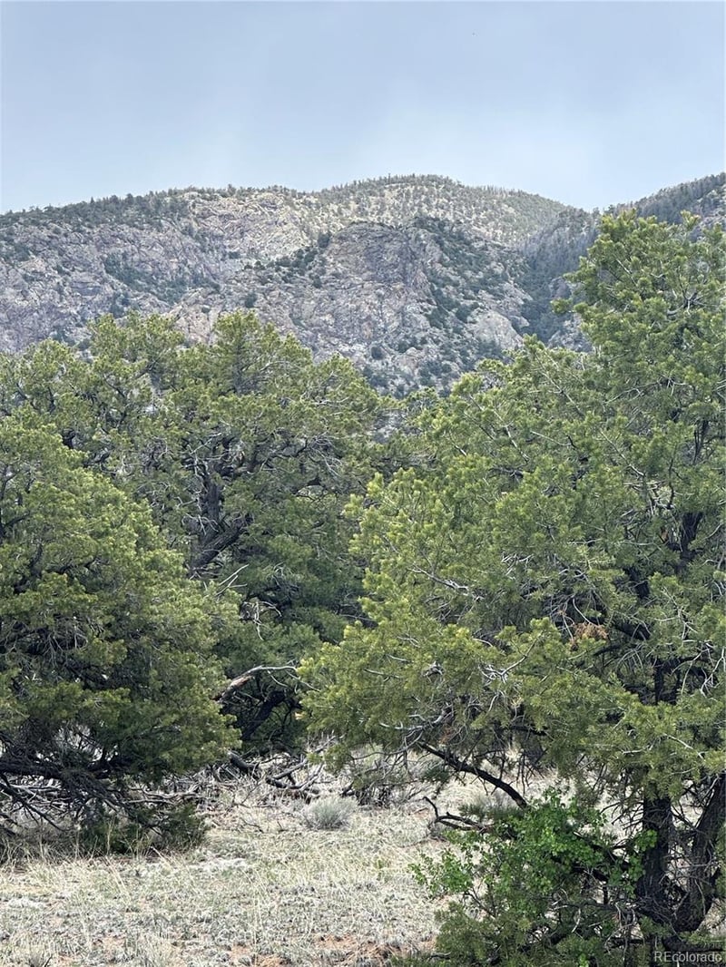 10 Mountain Springs Ln, Mosca, CO 81146