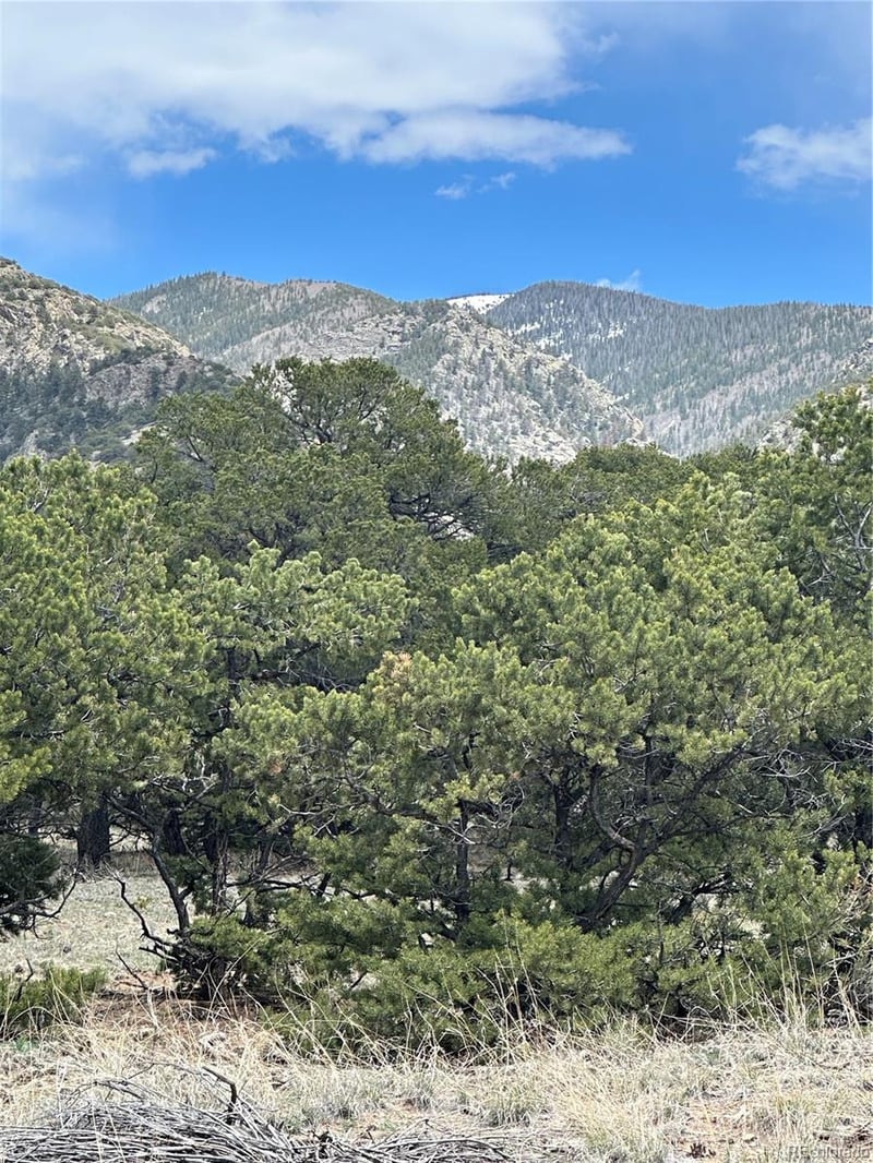 10 Mountain Springs Ln, Mosca, CO 81146
