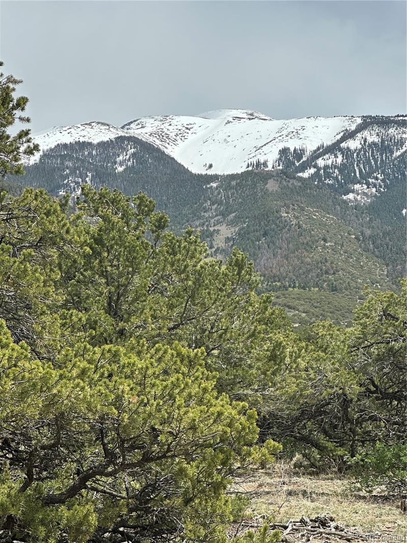 10 Mountain Springs Ln, Mosca, CO 81146