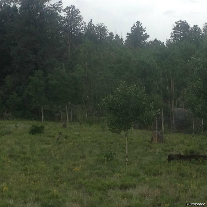 1681 Athapascan Rd, Hartsel, CO 80449