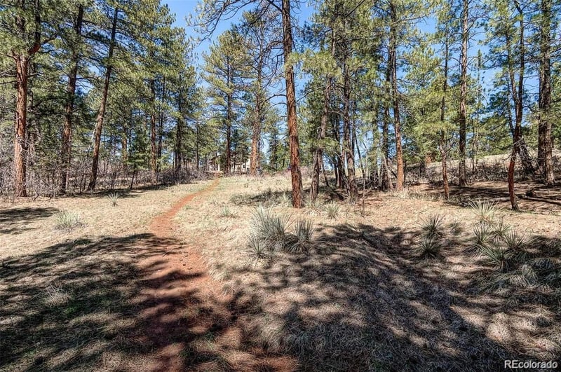 8173 Bannock Dr, Larkspur, CO 80118