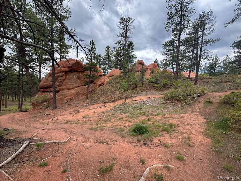 4356 Elati Rd, Larkspur, CO 80118