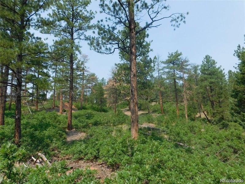4356 Elati Rd, Larkspur, CO 80118