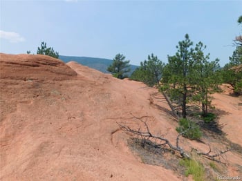 4356 Elati Rd, Larkspur, CO 80118