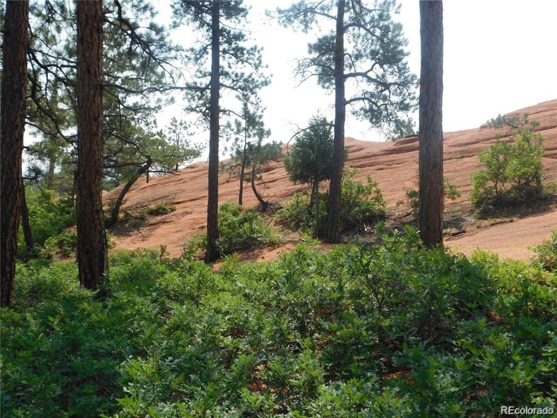 4356 Elati Rd, Larkspur, CO 80118