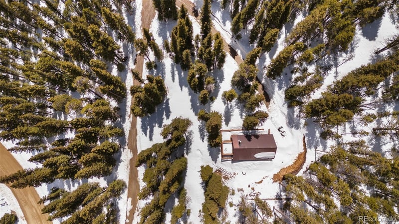 2018 Valley Of The Sun Dr, Fairplay, CO 80440
