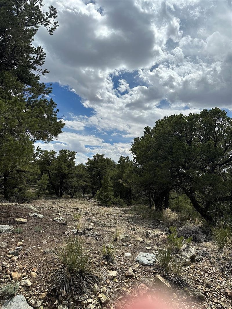 158 Cedar Ridge Rd, Mosca, CO 81146