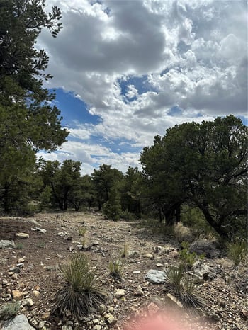 158 Cedar Ridge Rd, Mosca, CO 81146