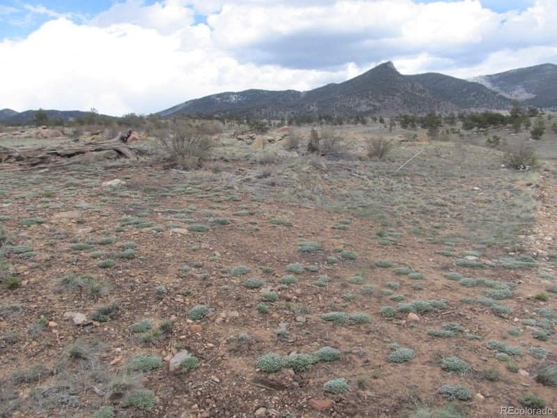 10437 Routt Rd Lot 07, Hartsel, CO 80827