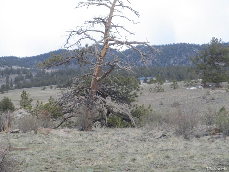 10437 Routt Rd Lot 07, Hartsel, CO 80827