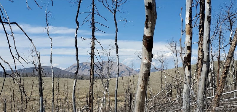 2398 Petito Dr, Fort Garland, CO 81133