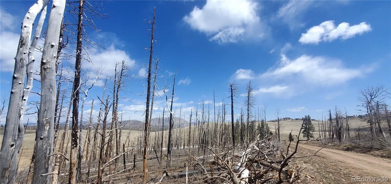 2398 Petito Dr, Fort Garland, CO 81133