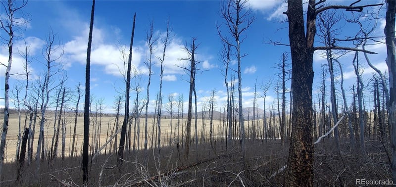 2398 Petito Dr, Fort Garland, CO 81133