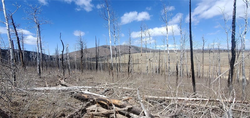 2398 Petito Dr, Fort Garland, CO 81133