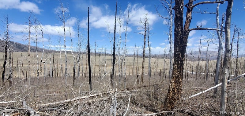 2398 Petito Dr Lot 2398, Fort Garland, CO 81133