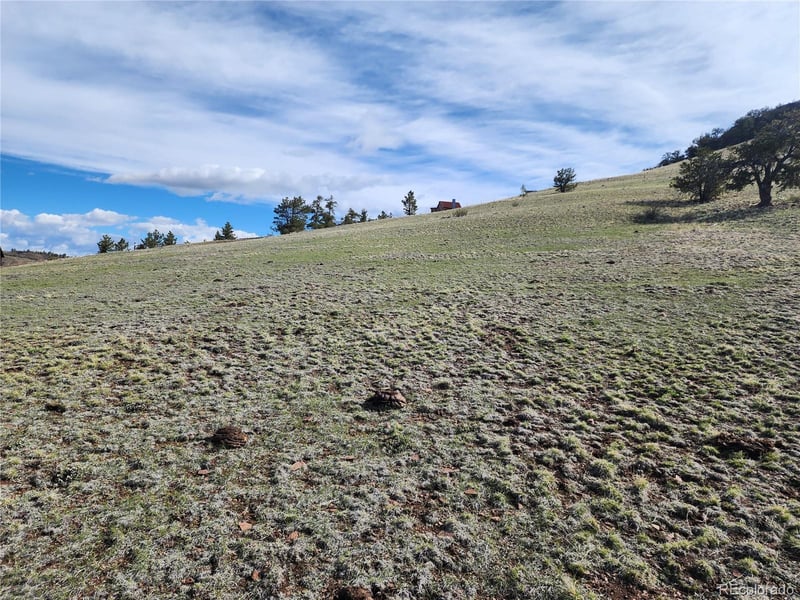 558 Chickadee Dr Lot 39, 40, Hartsel, CO 80449