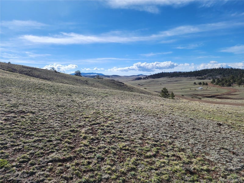 558 Chickadee Dr Lot 39, 40, Hartsel, CO 80449