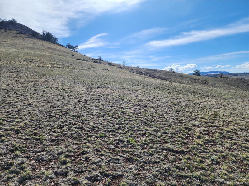 558 Chickadee Dr Lot 39, 40, Hartsel, CO 80449
