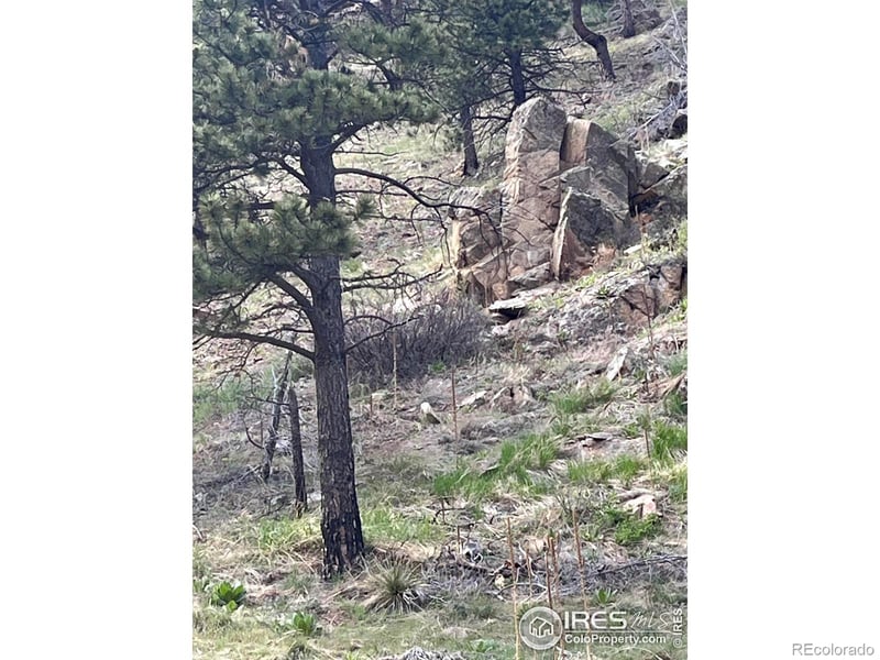7400 Fourmile Canyon Dr, Boulder, CO 80302