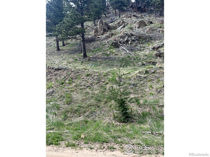 7400 Fourmile Canyon Dr, Boulder, CO 80302