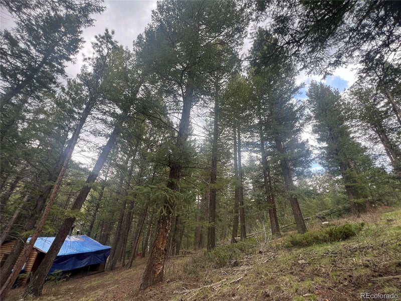 5525 S Twin Spruce Dr, Evergreen, CO 80439