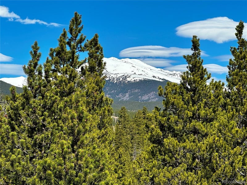 945 Spruce Dr, Twin Lakes, CO 81251