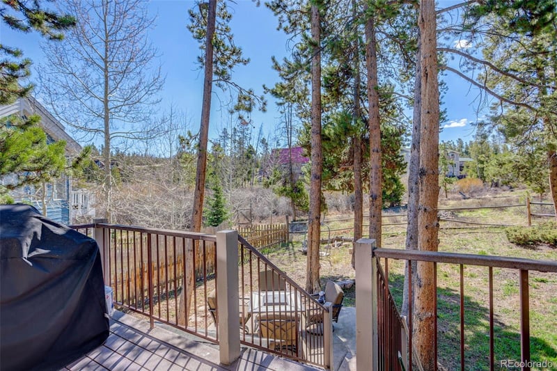 840 Badger Ln, Fraser, CO 80442