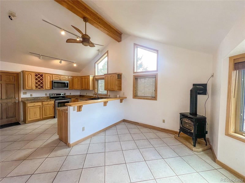 465 Reva Ridge Rd, Twin Lakes, CO 81251