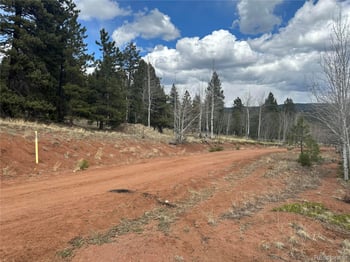 Firestone Dr, Woodland Park, CO 80863