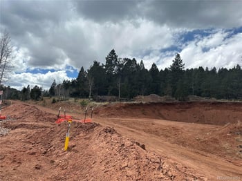 Firestone Dr, Woodland Park, CO 80863