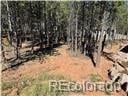1394 Millstone Ln, Woodland Park, CO 80863